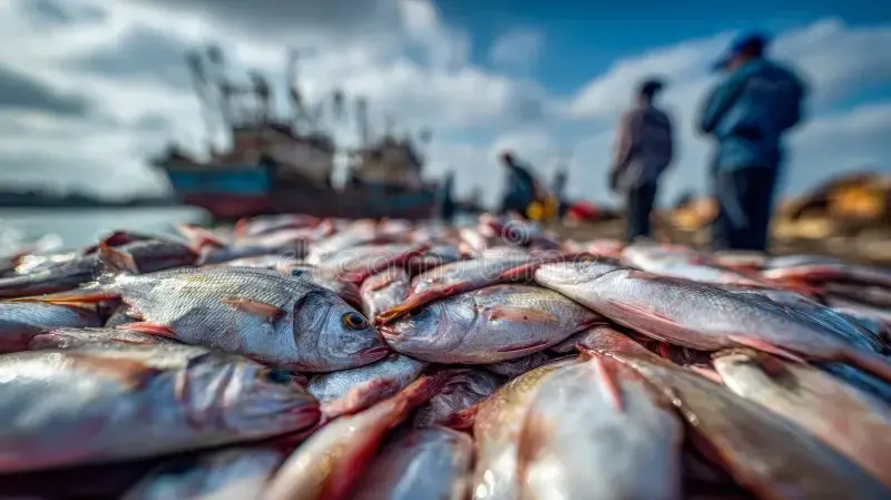 Freshly landed fish piled on the quayside, with fishing boats and fishermen in the background