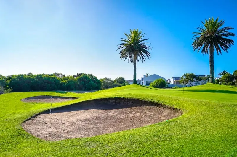 The Shelley Point golf course: a sand bunker on a green fairway, two palm trees and white houses under a clear blue sky